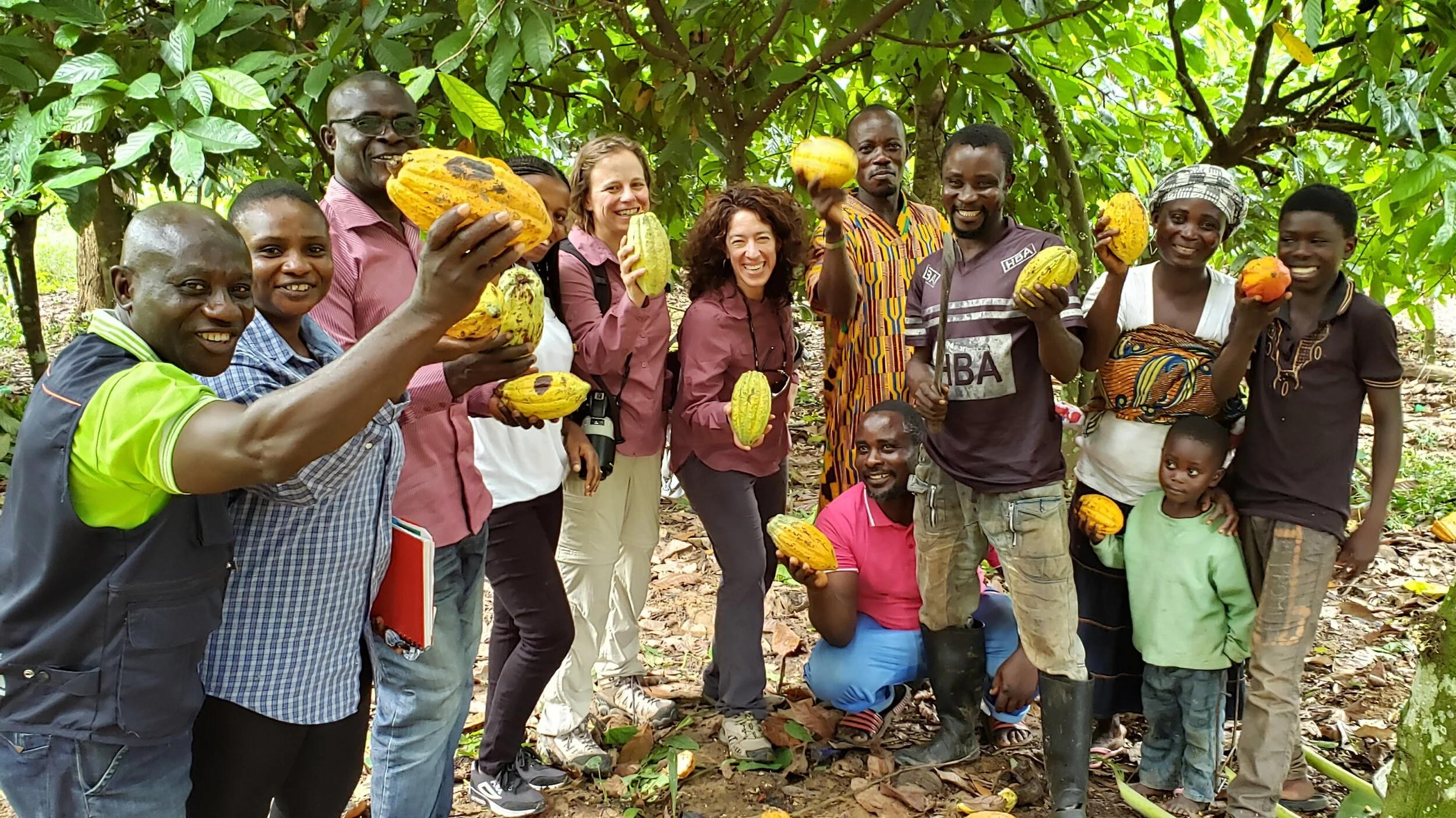 Penyman Group Cocoa Farm