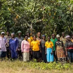 kuapa-kokoo-farmers-960